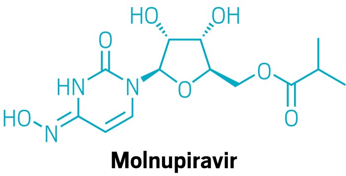 Molnupiravir