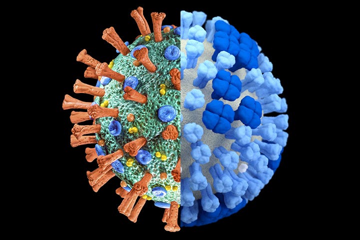 Flu And Covid