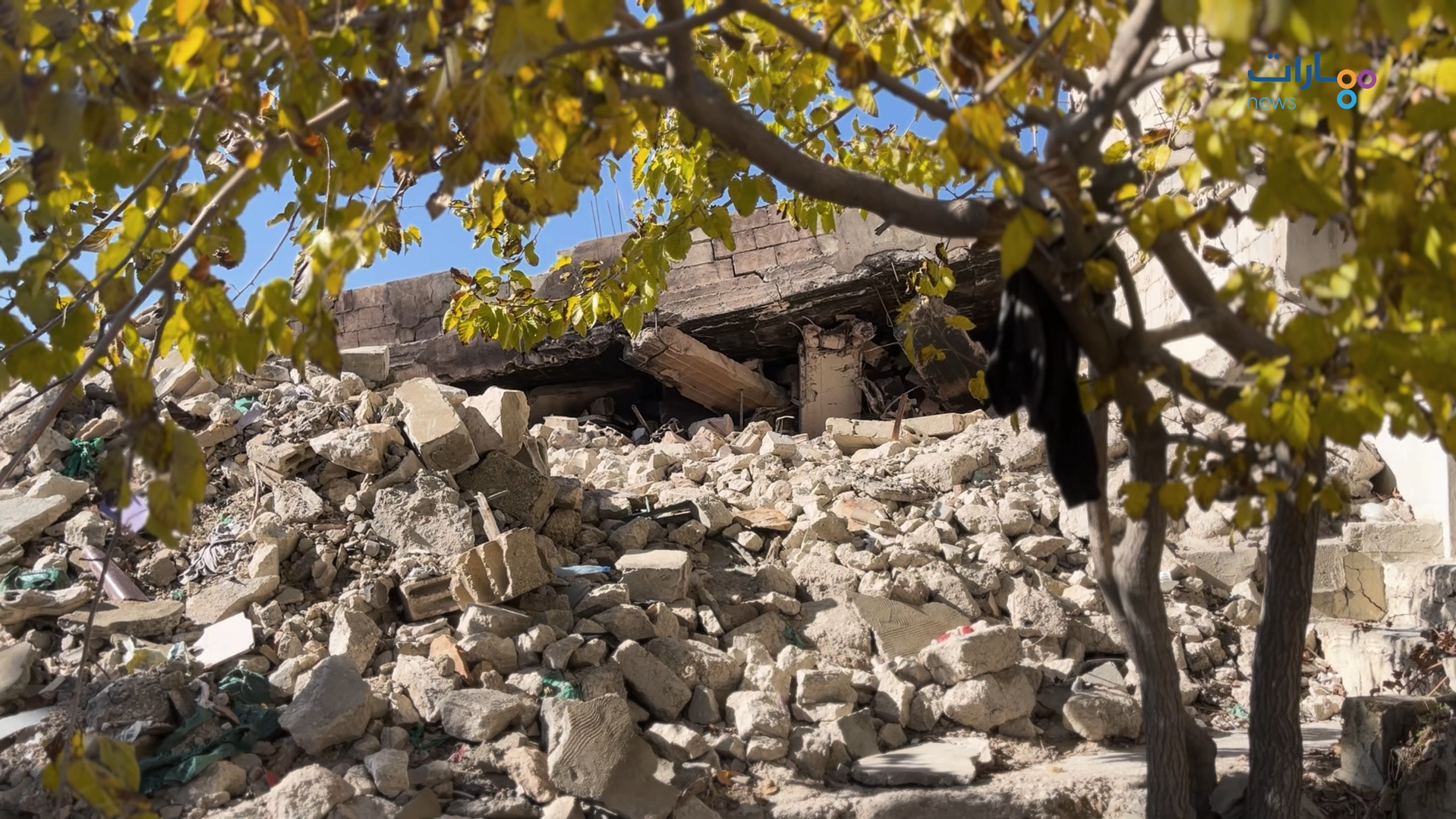 نساء البقاع في مواجهة الحرب والحياة Cover